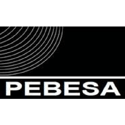 logo_pebesa_pequeño-01